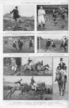 Illustrated Sporting and Dramatic News Saturday 26 March 1921 Page 14