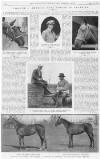 Illustrated Sporting and Dramatic News Saturday 16 April 1921 Page 8