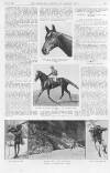 Illustrated Sporting and Dramatic News Saturday 21 May 1921 Page 13