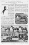 Illustrated Sporting and Dramatic News Saturday 08 October 1921 Page 15