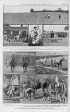 Illustrated Sporting and Dramatic News Saturday 08 October 1921 Page 16
