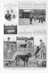 Illustrated Sporting and Dramatic News Saturday 29 October 1921 Page 14