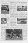 Illustrated Sporting and Dramatic News Saturday 03 December 1921 Page 19