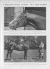 Illustrated Sporting and Dramatic News Saturday 22 September 1923 Page 29