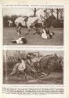 Illustrated Sporting and Dramatic News Saturday 08 March 1930 Page 35