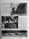 Illustrated Sporting and Dramatic News Friday 20 September 1940 Page 13