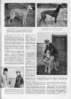 Illustrated Sporting and Dramatic News Friday 22 January 1943 Page 23