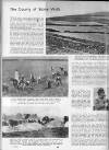 Illustrated Sporting and Dramatic News Friday 25 June 1943 Page 6