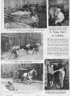 Illustrated Sporting and Dramatic News Friday 29 October 1943 Page 8
