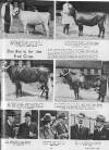 Illustrated Sporting and Dramatic News Friday 26 May 1944 Page 7