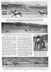 Illustrated Sporting and Dramatic News Friday 26 May 1944 Page 25