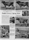 Illustrated Sporting and Dramatic News Friday 12 April 1946 Page 7