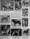 Illustrated Sporting and Dramatic News Wednesday 03 November 1948 Page 23