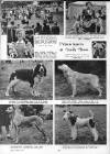 Illustrated Sporting and Dramatic News Wednesday 07 September 1949 Page 32