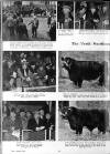 Illustrated Sporting and Dramatic News Wednesday 22 February 1950 Page 20