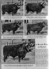 Illustrated Sporting and Dramatic News Wednesday 22 March 1950 Page 6