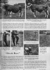 Illustrated Sporting and Dramatic News Wednesday 17 May 1950 Page 25