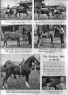 Illustrated Sporting and Dramatic News Wednesday 17 May 1950 Page 42