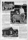 Illustrated Sporting and Dramatic News Wednesday 23 August 1950 Page 16