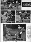Illustrated Sporting and Dramatic News Wednesday 15 November 1950 Page 22