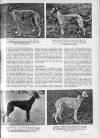 Illustrated Sporting and Dramatic News Wednesday 24 January 1951 Page 31