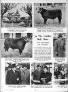 Illustrated Sporting and Dramatic News Wednesday 21 March 1951 Page 22