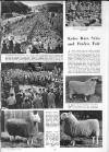 Illustrated Sporting and Dramatic News Wednesday 03 October 1951 Page 16