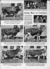 Illustrated Sporting and Dramatic News Wednesday 18 March 1953 Page 42