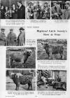 Illustrated Sporting and Dramatic News Wednesday 27 October 1954 Page 22