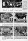 Illustrated Sporting and Dramatic News Wednesday 10 November 1954 Page 20