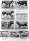 Illustrated Sporting and Dramatic News Wednesday 27 June 1956 Page 54