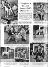 Illustrated Sporting and Dramatic News Wednesday 03 April 1957 Page 22