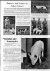 Illustrated Sporting and Dramatic News Wednesday 15 May 1957 Page 46