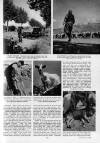 Illustrated Sporting and Dramatic News Wednesday 14 May 1958 Page 15