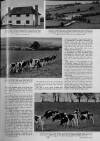 Illustrated Sporting and Dramatic News Wednesday 11 May 1960 Page 33