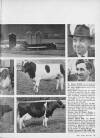 Illustrated Sporting and Dramatic News Sunday 01 March 1964 Page 45