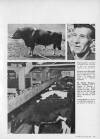 Illustrated Sporting and Dramatic News Sunday 01 March 1964 Page 49