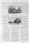 The Sphere Saturday 26 September 1903 Page 12