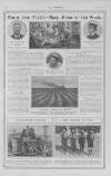 The Sphere Saturday 17 February 1912 Page 22