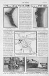 The Sphere Saturday 16 January 1915 Page 8