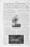 The Sphere Saturday 05 February 1921 Page 4