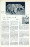 The Sphere Saturday 22 March 1930 Page 25