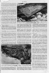 The Sphere Saturday 12 April 1941 Page 25