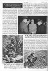 The Sphere Saturday 29 January 1944 Page 26