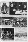 The Sphere Saturday 26 February 1944 Page 25