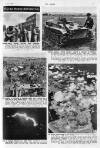 The Sphere Saturday 08 July 1944 Page 29