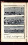 Illustrated War News Wednesday 16 September 1914 Page 24