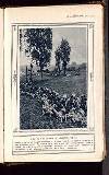 Illustrated War News Wednesday 16 September 1914 Page 35