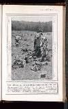 Illustrated War News Wednesday 23 September 1914 Page 49