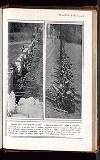 Illustrated War News Wednesday 14 October 1914 Page 5